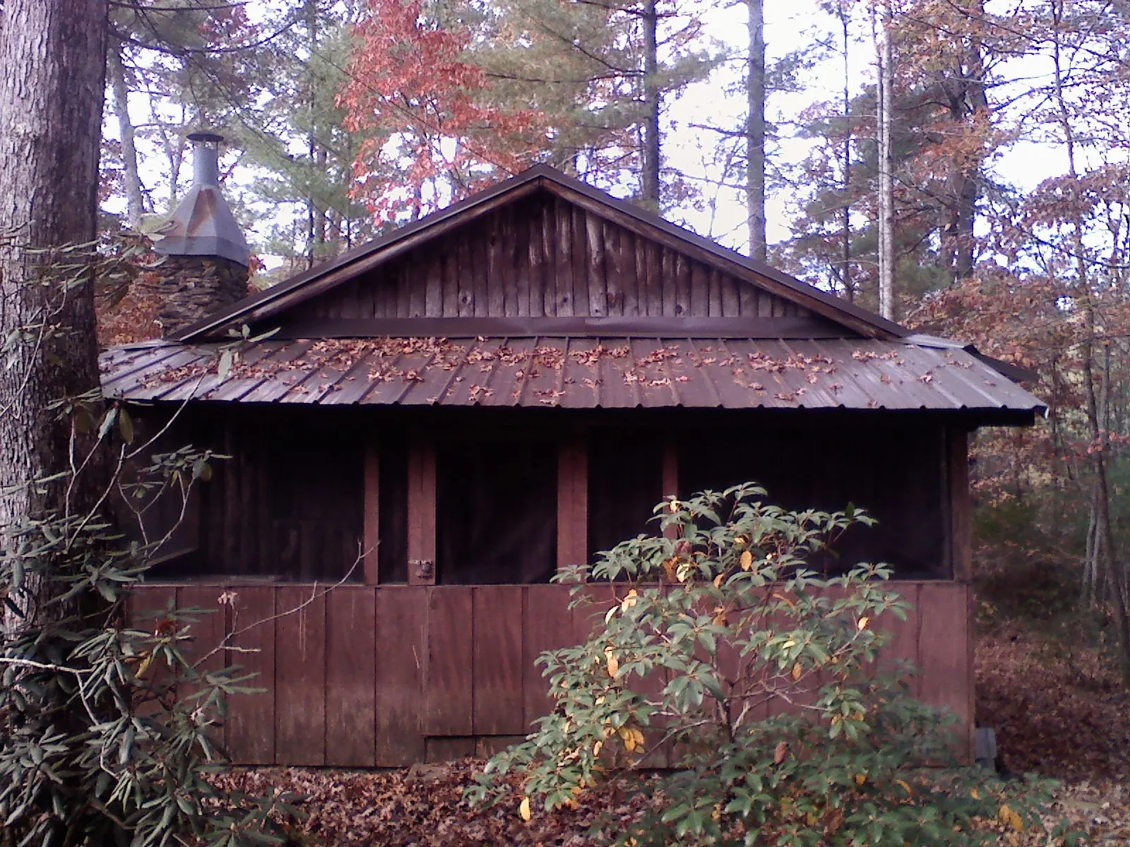 Metal roof over the screened porch of a rustic cabin in Harrisonville